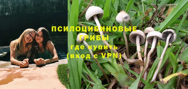 бошки Алексин