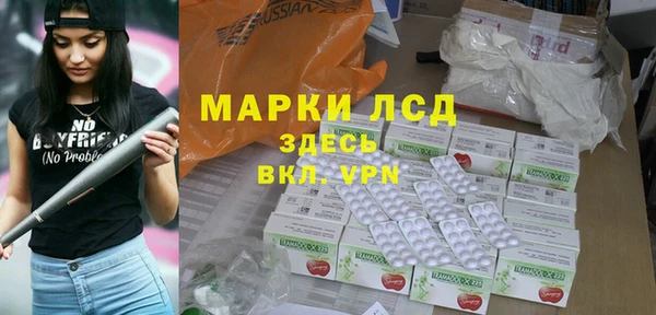 хмурый Корсаков