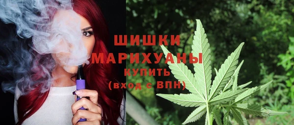 бошки Алексин