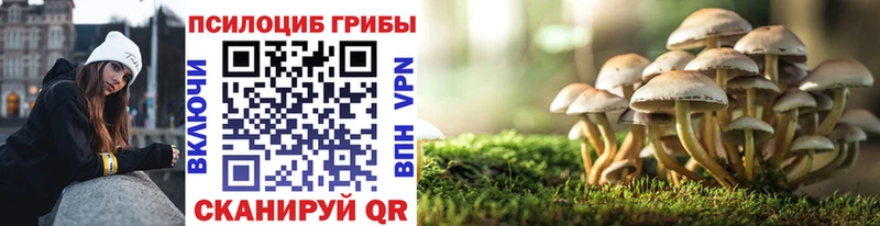 Псилоцибиновые грибы Magic Shrooms  Тулун 